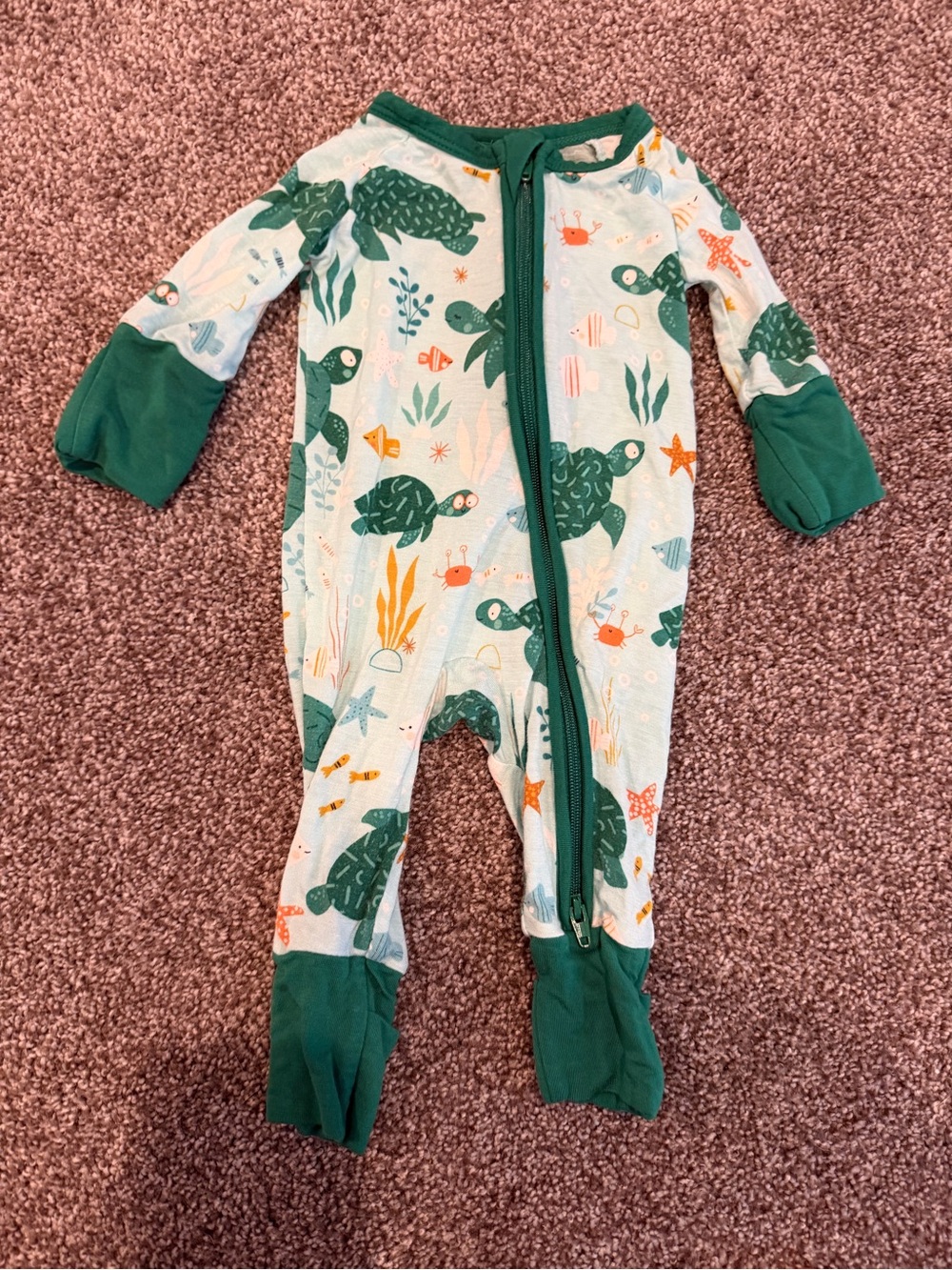 Little Sleepies Green Turtle Print Footless Pajamas